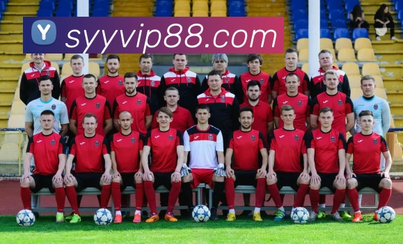 双赢彩票官网服务体系